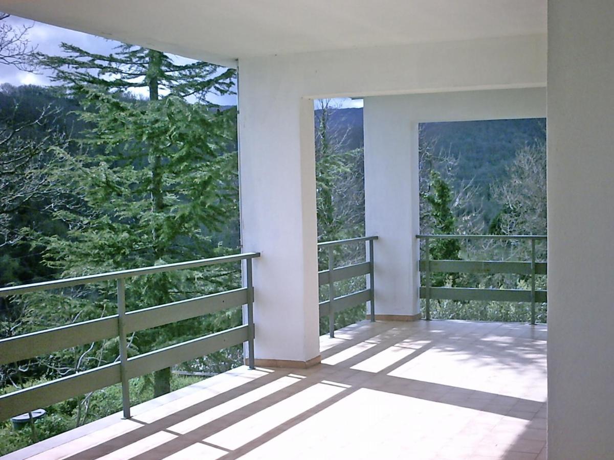 B&B Hollywood Olivadi Dış mekan fotoğraf